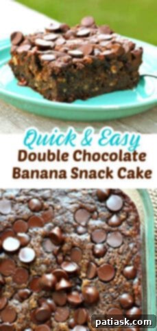 Chocolate Banana Bliss Cake 10 Double Chocolate Banana Snack Cake