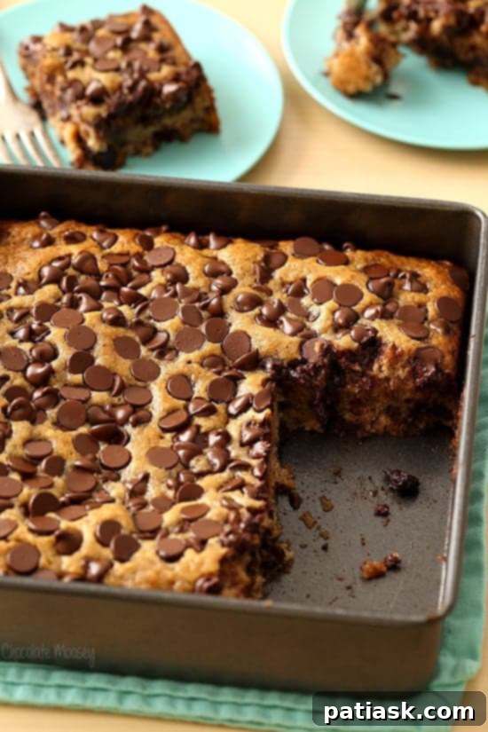 36 Must-Try Snack Cakes for Every Craving 11 Vegan Banana Chocolate Chip Snack Cake