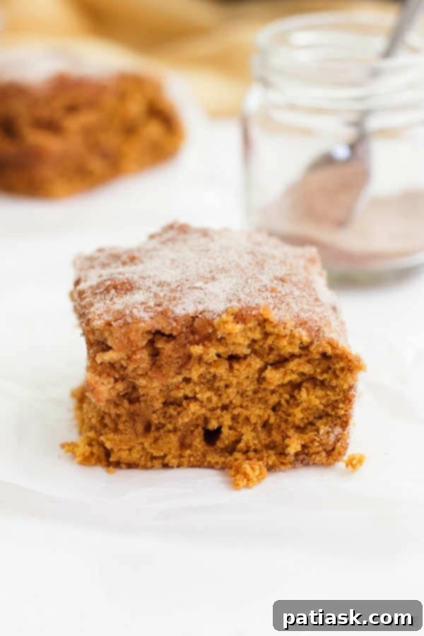 36 Must-Try Snack Cakes for Every Craving 30 Cinnamon-Sugar Pumpkin Snack Cake, a perfect fall treat