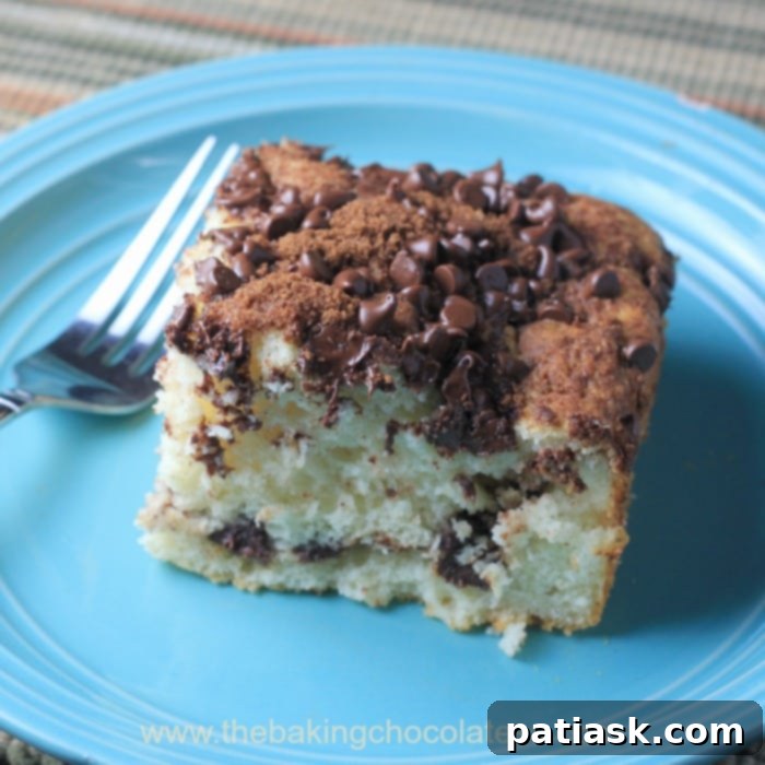 36 Must-Try Snack Cakes for Every Craving 31 "Bisquick" Chocolate Cinnamon Greek Yogurt Banana Coffee Cake, moist and flavorful