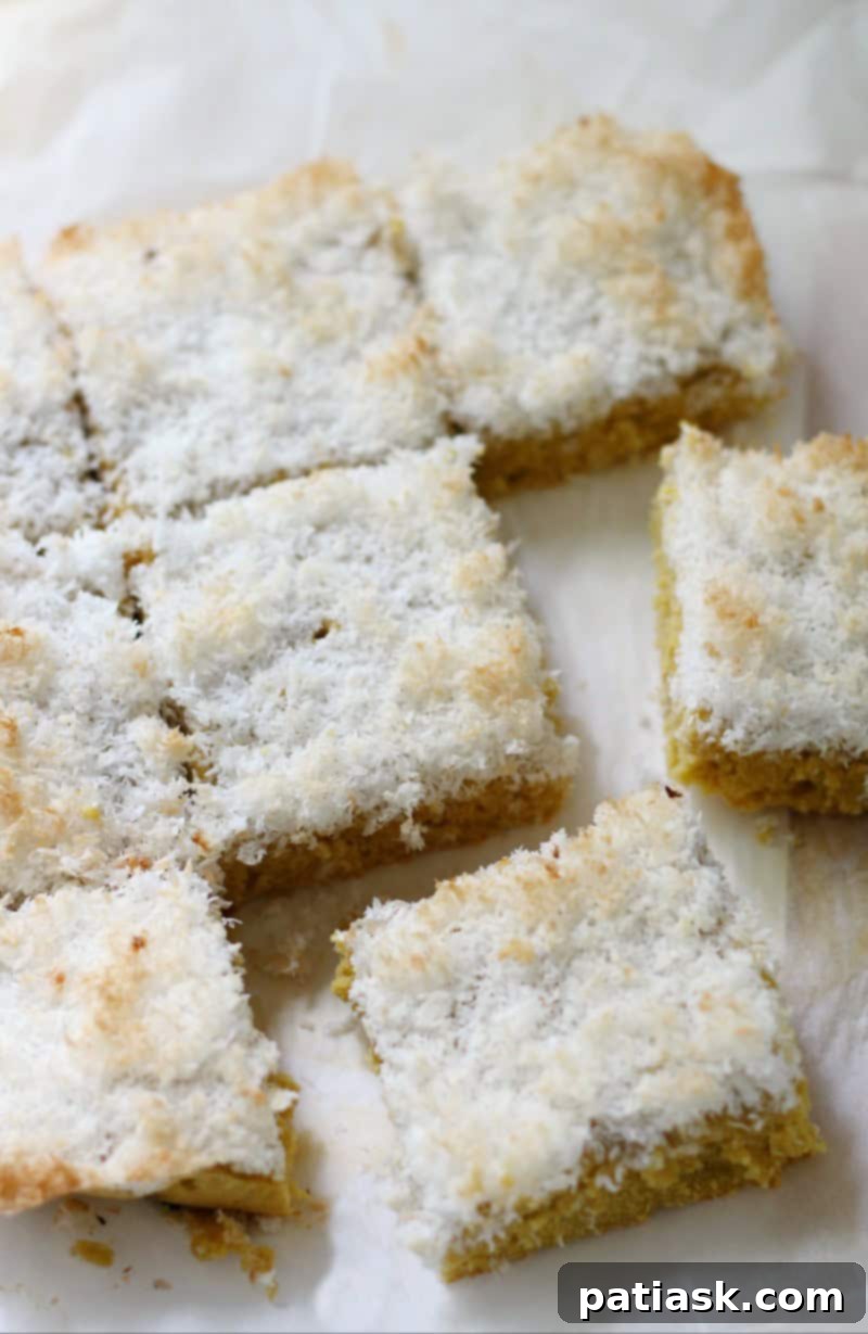 36 Must-Try Snack Cakes for Every Craving 36 Yummy Mango Snack Cake with Toasted Coconut Crumb, gluten-free and vegan