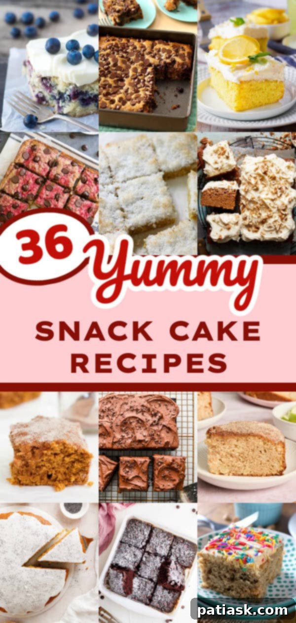 36 Must-Try Snack Cakes for Every Craving 39 Collage of various delicious snack cake recipes