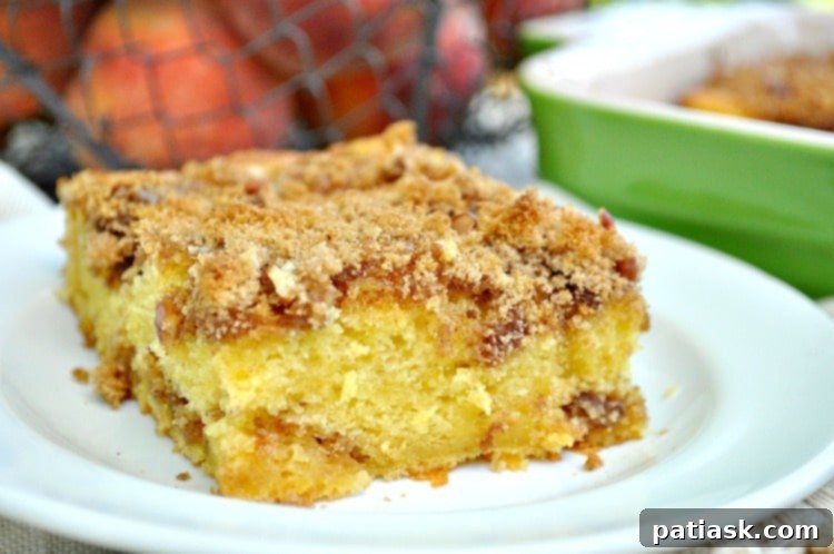 36 Must-Try Snack Cakes for Every Craving 9 Easy Cinnamon Streusel Peach Cake with fresh peaches