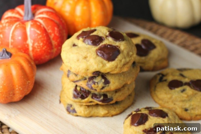 Awesome Chocolate Chip Pumpkin Cookies