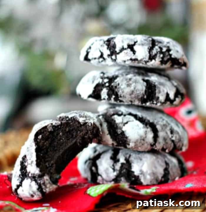 Fudgy Chocolate Crackle Cookies 2 Delicious Chocolate Crackle Cookies for the holidays