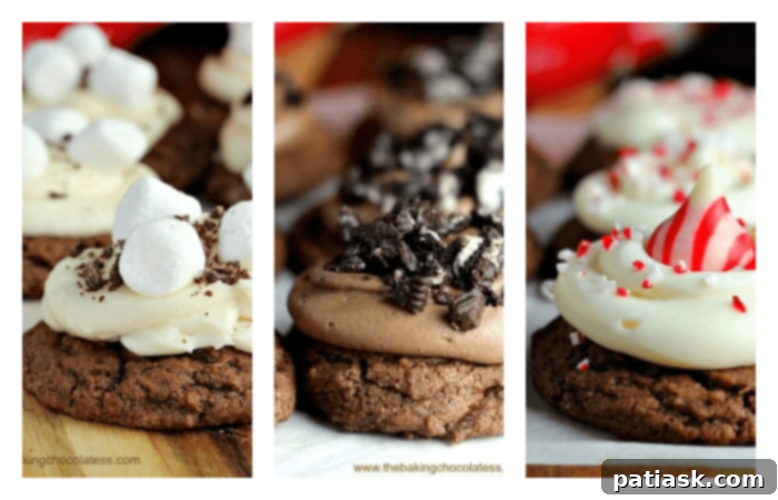 One Dough, Three Chocolate Holiday Cookies 2 Versatile chocolate cookie dough ready for holiday transformations