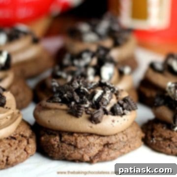 One Dough, Three Chocolate Holiday Cookies 7 1 Dough - Three Kinds of Chocolate Cookies for the Holidays!