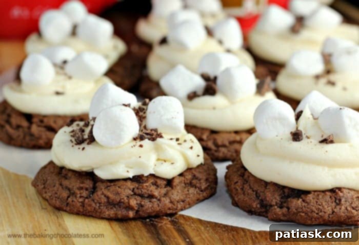 One Dough, Three Chocolate Holiday Cookies 4 Hot Chocolate Marshmallow Vanilla Buttercream Frosted Cookies – a delightful chocolate cookie dough creation
