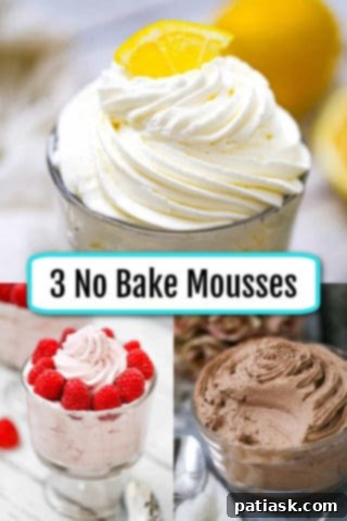 Decadent No-Bake Mousse Trio 7 3 No Bake Mousses
