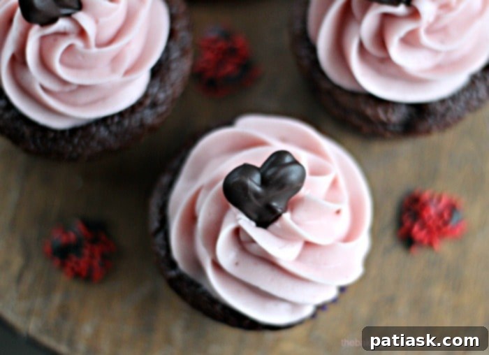 Chocolate Raspberry Mousse Cupcakes 3 Close-up of a Chocolate Raspberry Mousse Cupcake showcasing the raspberry frosting swirl