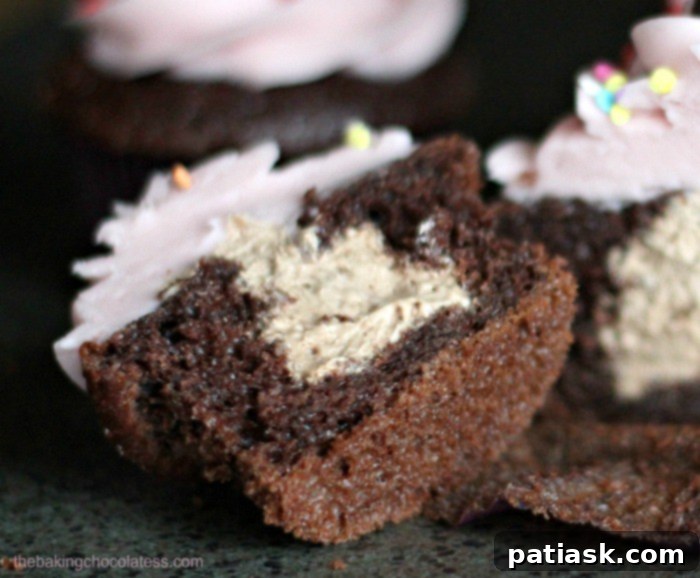 Chocolate Raspberry Mousse Cupcakes 4 Assortment of Chocolate Raspberry Mousse Cupcakes on a rustic wooden board