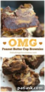 Ultimate Peanut Butter Cup Brownies 12 OMG Peanut Butter Cup Brownies