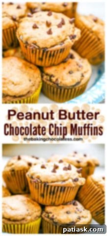 Peanut Butter Bliss Muffins 9 Peanut Butter Chocolate Chip Muffins