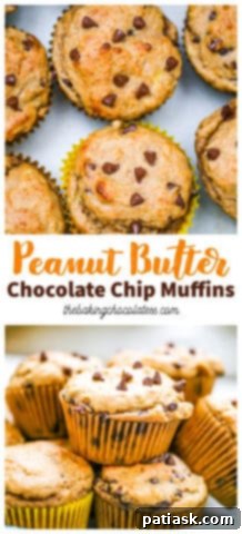 Peanut Butter Bliss Muffins 10 Peanut Butter Chocolate Chip Muffins