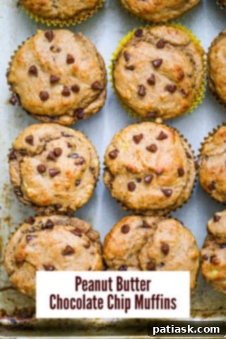 Peanut Butter Bliss Muffins 11 Peanut Butter Chocolate Chip Muffins