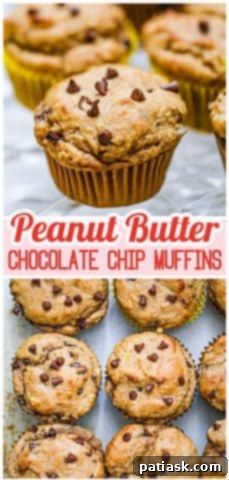 Peanut Butter Bliss Muffins 15 Peanut Butter Chocolate Chip Muffins
