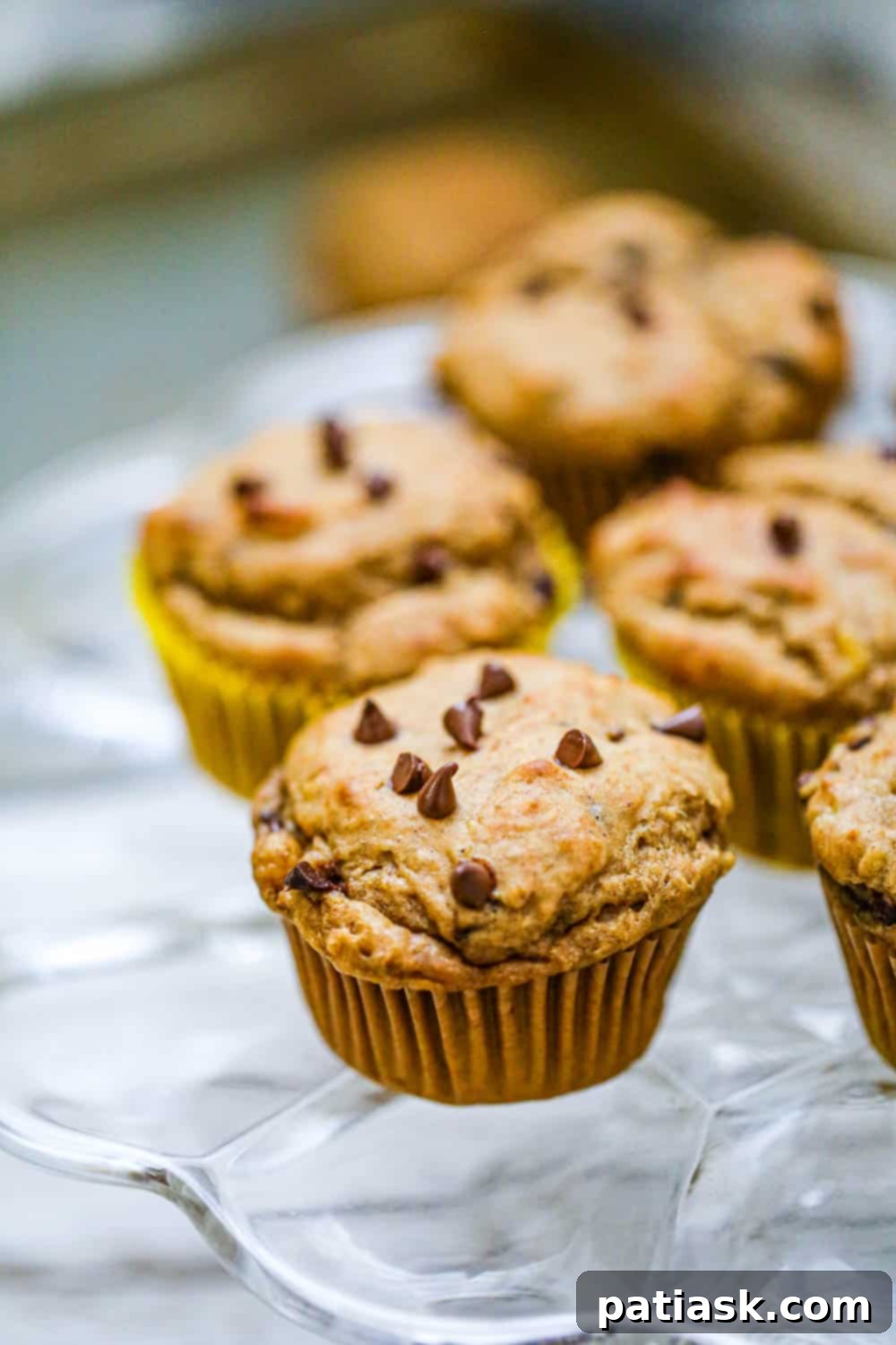 Peanut Butter Bliss Muffins 3 Peanut Butter Chocolate Chip Muffins cooling on a rack
