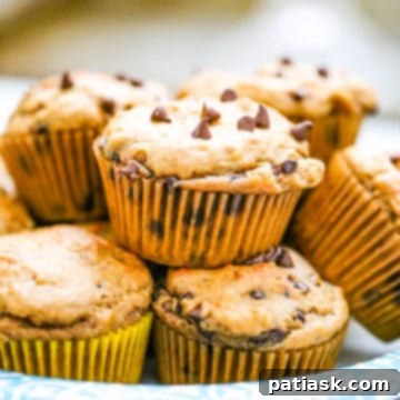 Peanut Butter Bliss Muffins 8 Peanut Butter Chocolate Chip Muffins