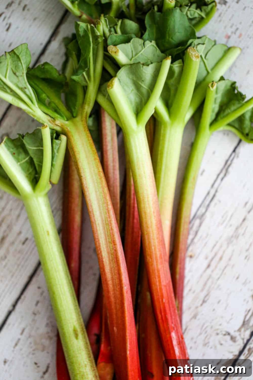 Close-up of Rhubarb Berry Crisp ingredients