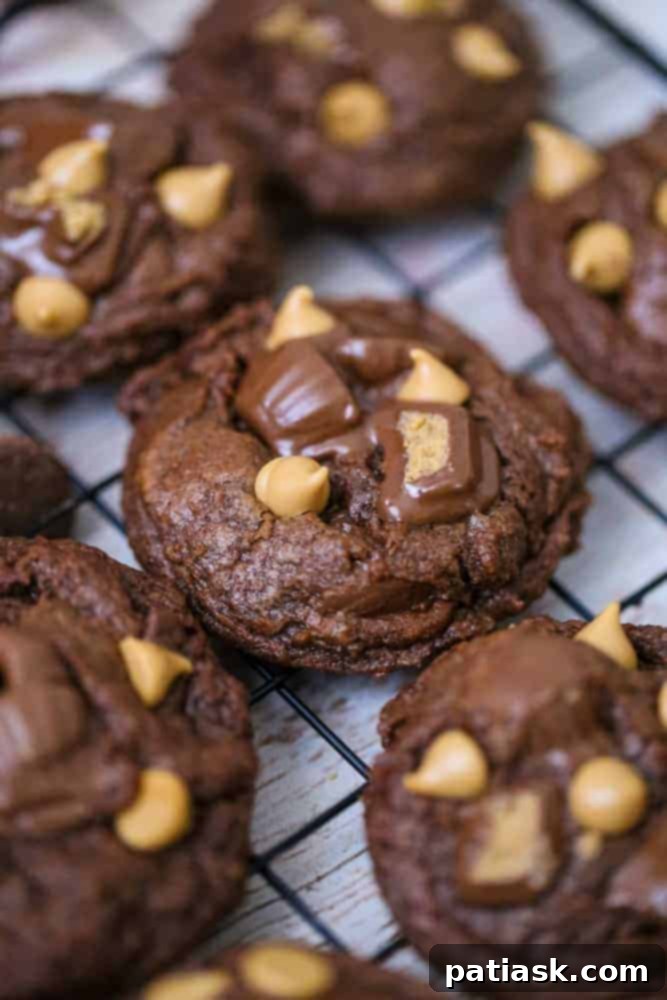 10 Sweet Treats to Celebrate Dad This Father's Day 7 Chocolate Peanut Butter Cup Cookies - A Yummy Treat for Dad