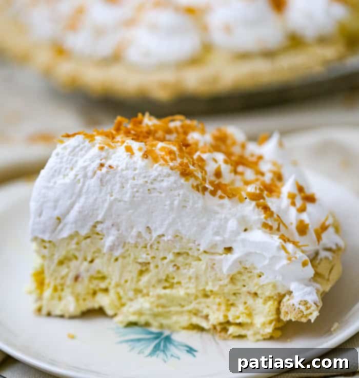 10 Sweet Treats to Celebrate Dad This Father's Day 8 Slice of Easy No-Bake Coconut Cream Pie