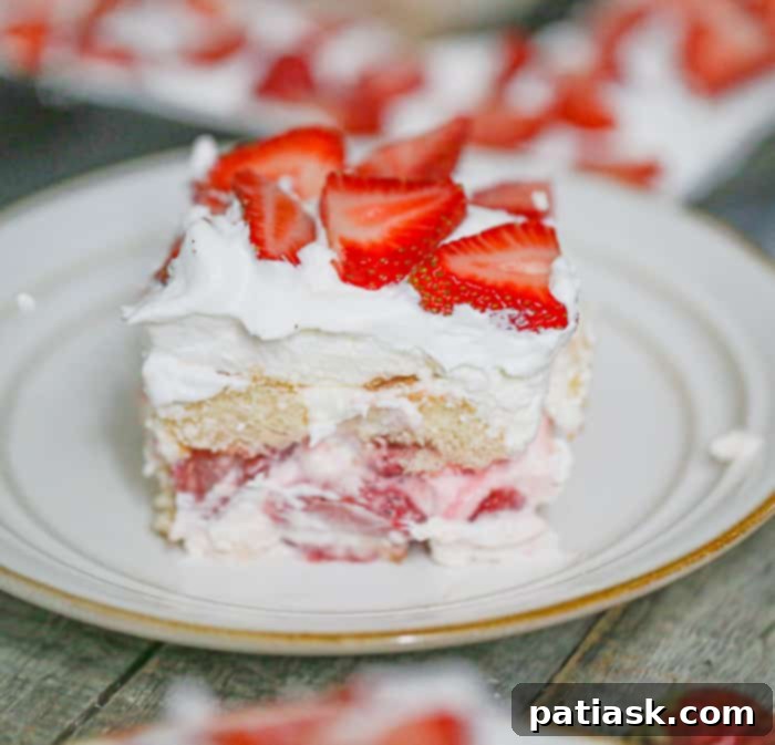 10 Sweet Treats to Celebrate Dad This Father's Day 6 Slice of Ultimate Strawberry Shortcake Tiramisu