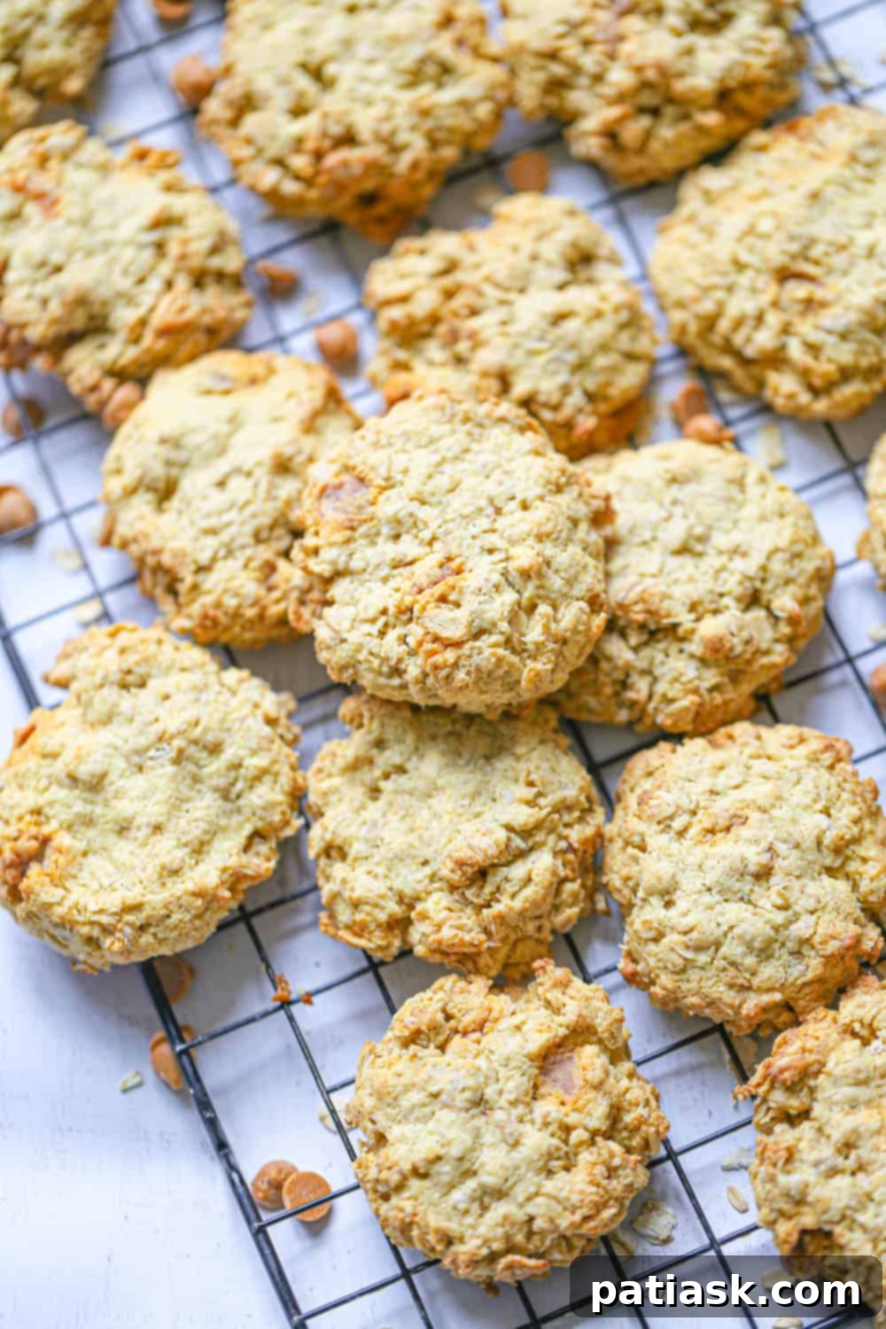 Sugar-Free Oatmeal Butterscotch Cookies recipe