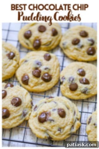 Velvet Pudding Chocolate Chip Cookies 10 Home-made Chocolate Chip Pudding Cookies