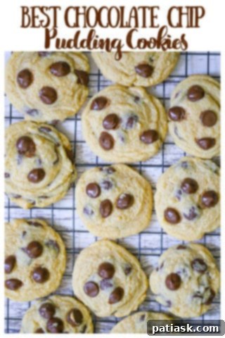 Velvet Pudding Chocolate Chip Cookies 11 Homemade Chocolate Chip Pudding Cookies