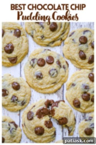 Velvet Pudding Chocolate Chip Cookies 14 Homemade Chocolate Chip Pudding Cookies