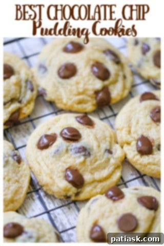 Velvet Pudding Chocolate Chip Cookies 15 Home-made Chocolate Chip Pudding Cookies