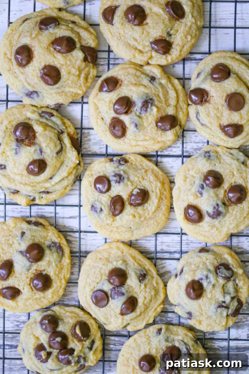 Velvet Pudding Chocolate Chip Cookies 8 Recipe for vanilla pudding cookies with chocolate chips