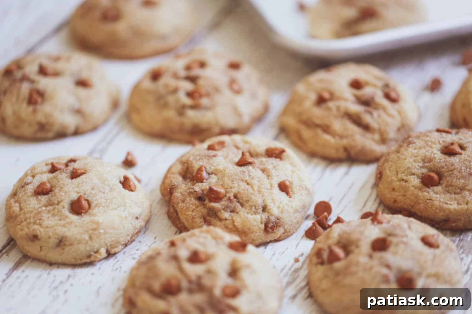Spiced Cinnamon Snickerdoodle Delights 4 Snickerdoodle Cinnamon Chip Cookies