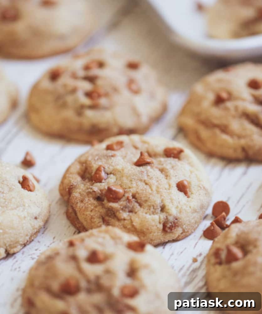 Spiced Cinnamon Snickerdoodle Delights 5 Snickerdoodle Cinnamon Chip Cookies