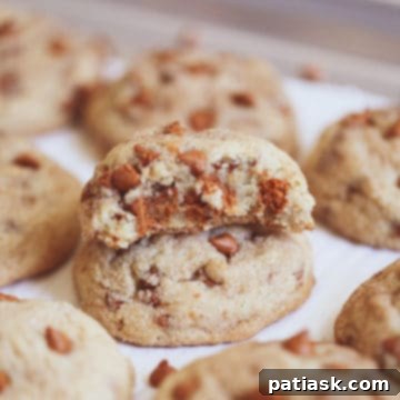 Spiced Cinnamon Snickerdoodle Delights 7 Snickerdoodle Cinnamon Chip Cookies