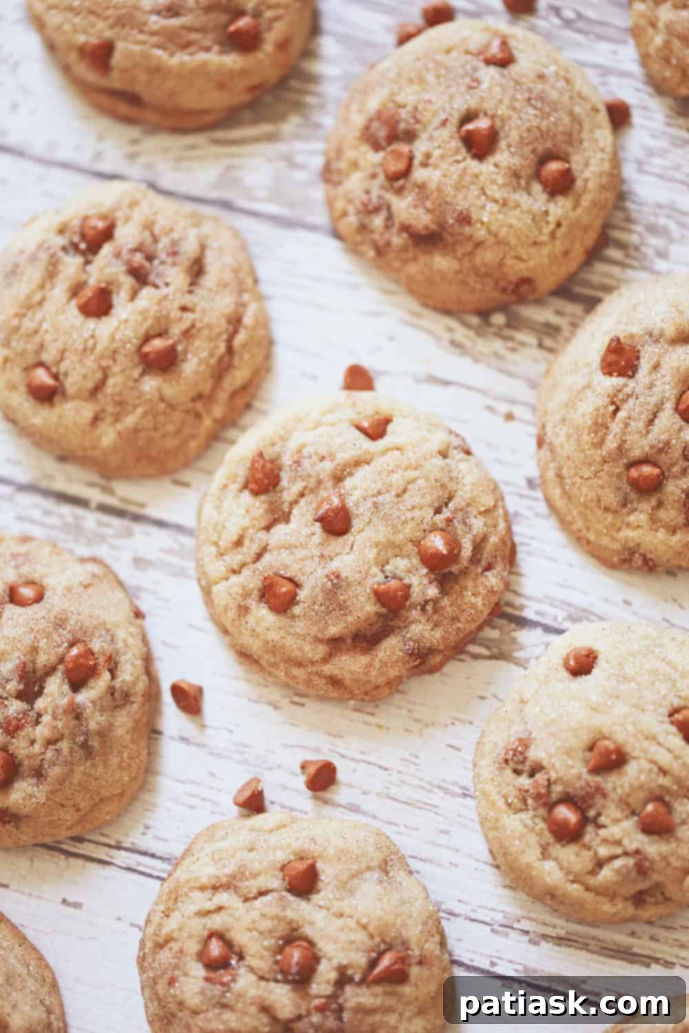 Spiced Cinnamon Snickerdoodle Delights 3 Snickerdoodle Cinnamon Chip Cookies