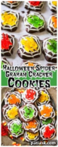 Chocolate Spiderweb Graham Treats 6 Spider Chocolate Graham Cookies close-up