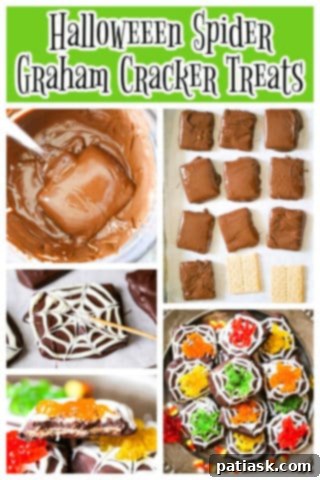 Chocolate Spiderweb Graham Treats 8 Halloween Spider Chocolate Graham Cookies with festive background