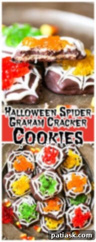Chocolate Spiderweb Graham Treats 9 Assortment of Spider Chocolate Graham Cookies