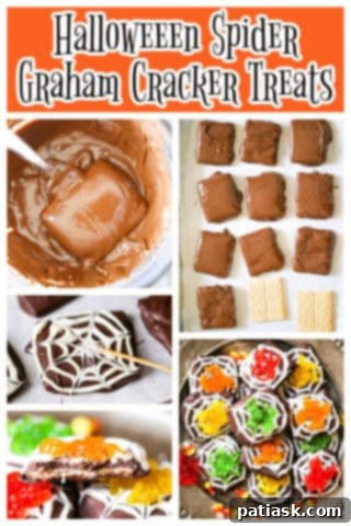 Chocolate Spiderweb Graham Treats 10 Spider Chocolate Graham Cookies ready for a party