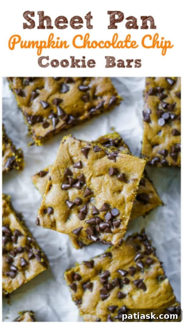 25 Irresistible Fall Desserts 7 Sheet Pan Pumpkin Chocolate Chip Cookie Bars, an addictive fall baking recipe