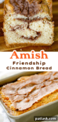 Amish Friendship Cinnamon Swirl Delight 11 Two slices of Amish Friendship Cinnamon Bread, perfectly displaying the cinnamon swirl.