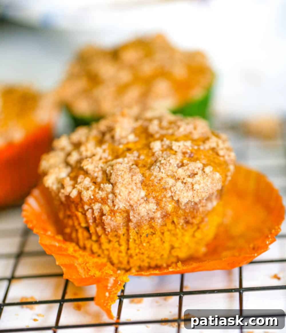 Spiced Pumpkin Crumble Muffins 2 Delicious Pumpkin Streusel Muffins with a golden-brown crumb topping, ready to be served for breakfast or a snack.