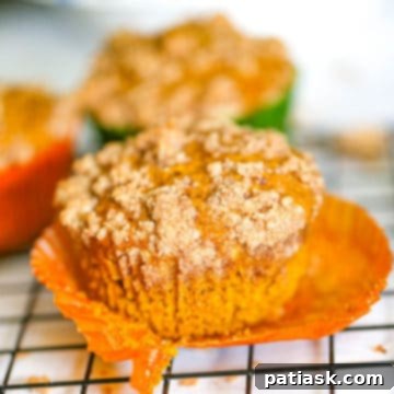 Spiced Pumpkin Crumble Muffins 8 Pumpkin Streusel Muffins