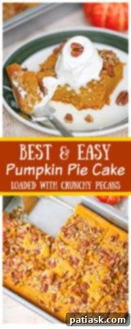 Pumpkin Pie Dream Cake 10 Overhead view of Pumpkin Pie Cake slices