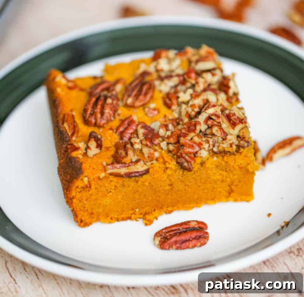 Pumpkin Pie Dream Cake 3 Close-up of a slice of Pumpkin Pie Cake, showing its moist texture and pecan topping