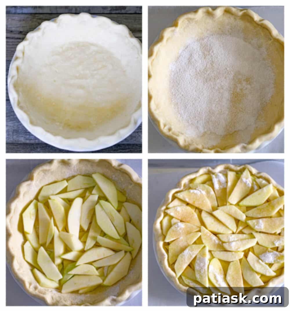 Hearty Dutch Apple Pie with Golden Oat Crumble 8 best homemade amish dutch apple pie recipe with streusel oat