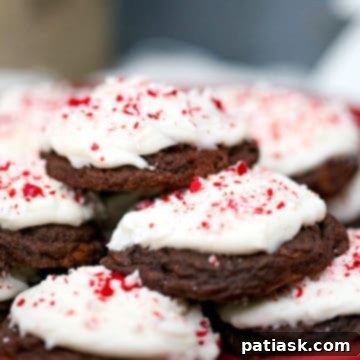 Mint Chocolate Dream Bites 8 Soft Batch Chocolate Peppermint Cookies