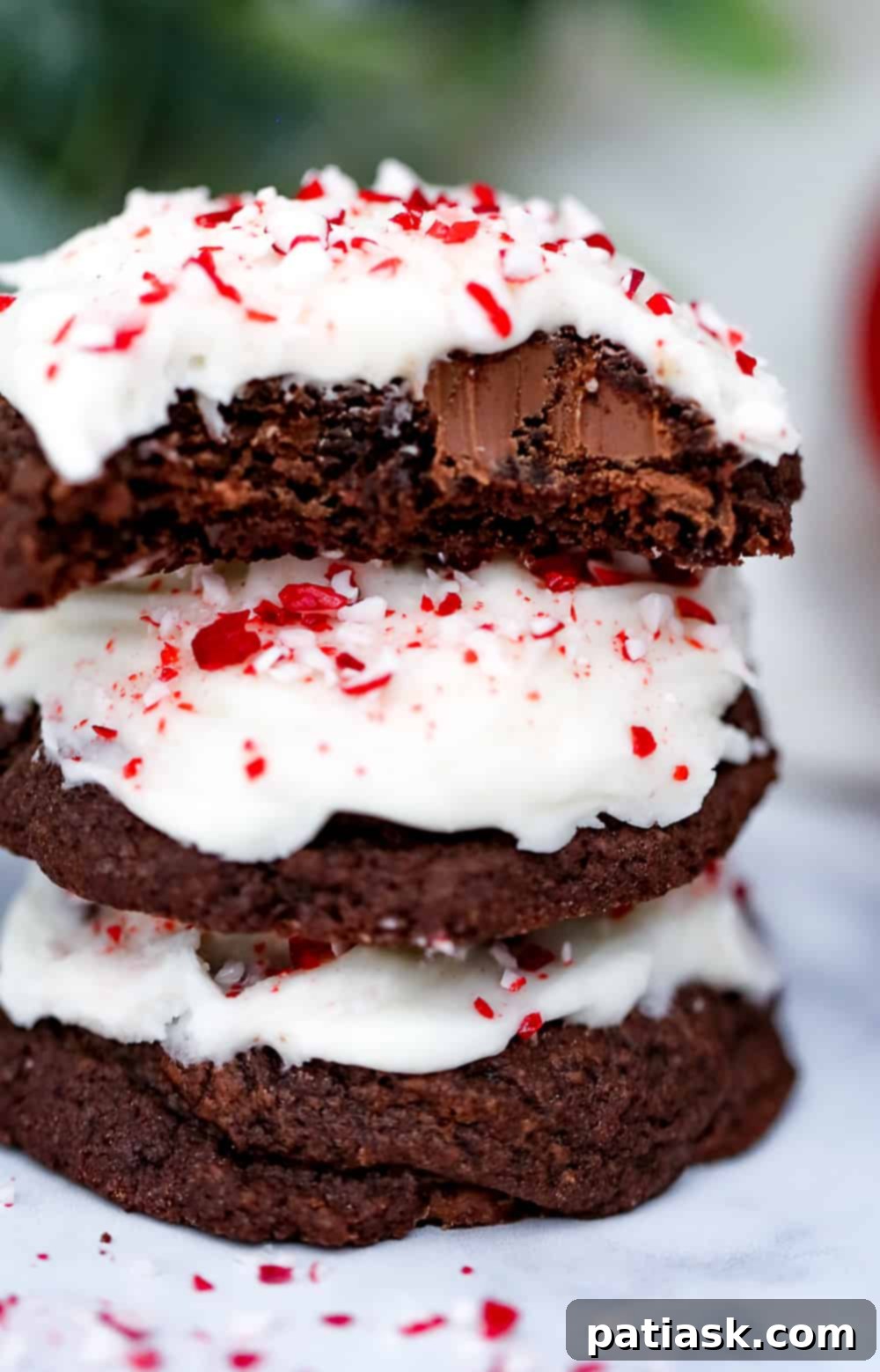 Mint Chocolate Dream Bites 4 Chocolate cookies with peppermint frosting recipe laid out, showcasing the deliciousness and homemade quality.