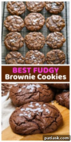 Decadent Fudgy Brownie Cookies 10 Fudgy Brownie Cookies